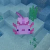chicuteahihi