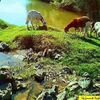 syedaounkazmi82