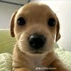 madam_kitty6