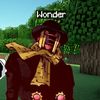 wondervincible_