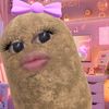 aninditaechaa