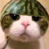 sybraajaa7