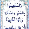 user6290051032139