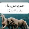 user2766579278807