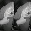 _evnleehsng