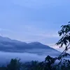 haidangcris1
