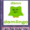 khoi.ng14