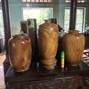 sauriengmientay0112