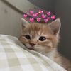 Mwah>3