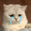 tranthinhuy420