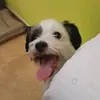 lalocadelosgatos327