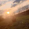 julia_crazy47