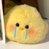 pechipcte