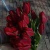 user8548148159475