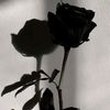 conchita.de.toit