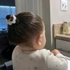 ameera.hasnin