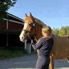 ellijagluosnis