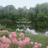 ll3za