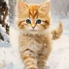 betty.elisabetta09