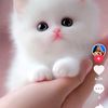 user898980575