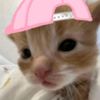 cuteen4jwaa