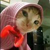 only_diva12