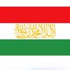 mahmoudalbekko1