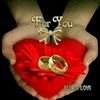 abdul45799