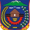paniainews