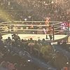 shawn_michaels60