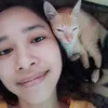 stefin_stefout