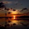 war_wardani06