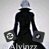 ts.vinzz