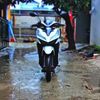 vardha51