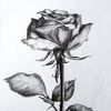 juliantovar9667