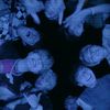 aroona_3