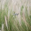 lee3802966