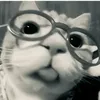 saarah_45