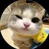 ranny_33666