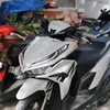klepord82
