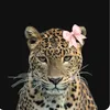 nazle_81