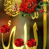 sharifaeric