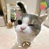 xyz_ngaa4