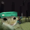 _kammi_9