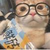 ne.kitti