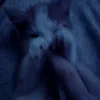 alinapkauj6