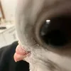 ytsukengshshsh