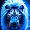 tarik___10