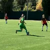 sasalele_3882
