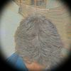dw_sushil_0